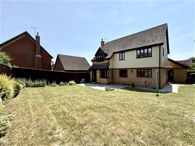Picture 24
